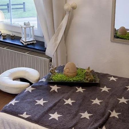 Fuerstenberger Hof Hotell 3*