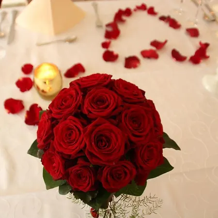 Fuerstenberger Hof Hotel 3*