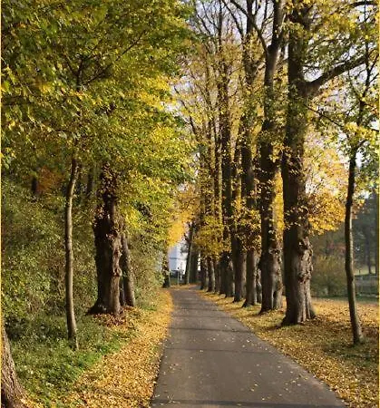 Hotel Fuerstenberger Hof 3*