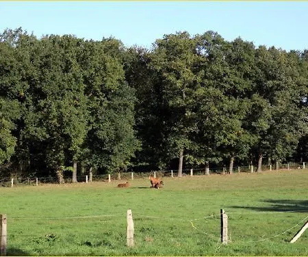 Fuerstenberger Hof Hotel 3*