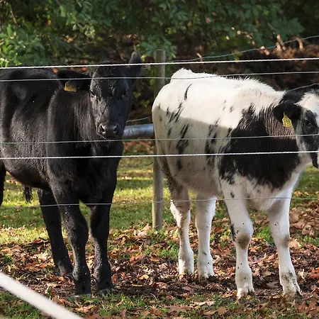 Fuerstenberger Hof 3*