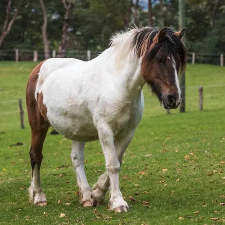 Fuerstenberger Hof Hotel Xanten