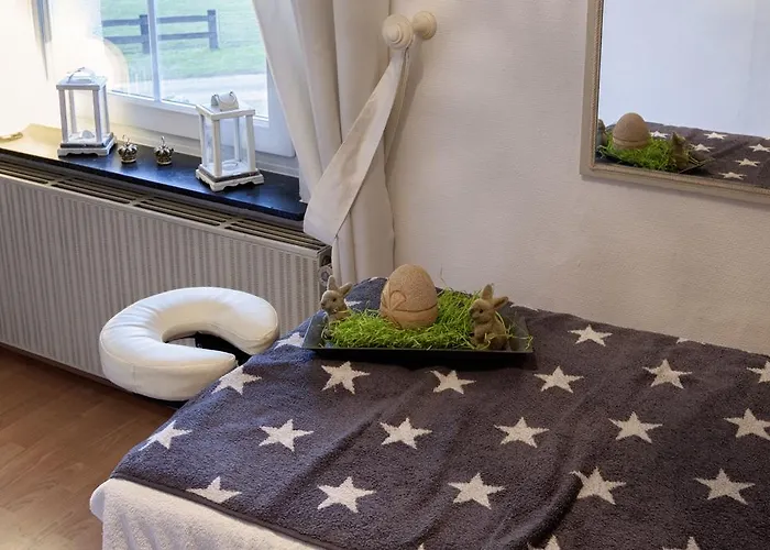 Fuerstenberger Hof Hotel 3*