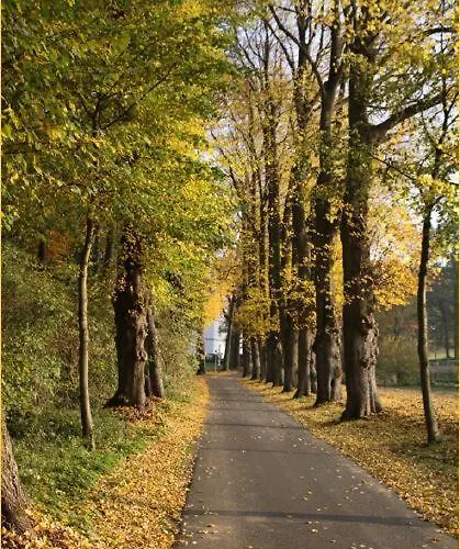 Hotel Fuerstenberger Hof 3*