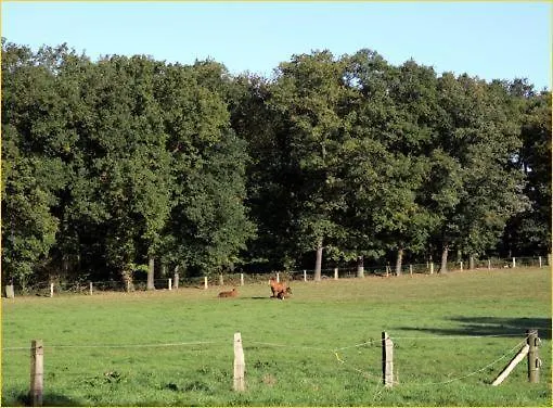 Fuerstenberger Hof Otel 3*