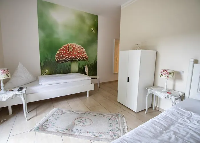 Fuerstenberger Hof Hotel 3*