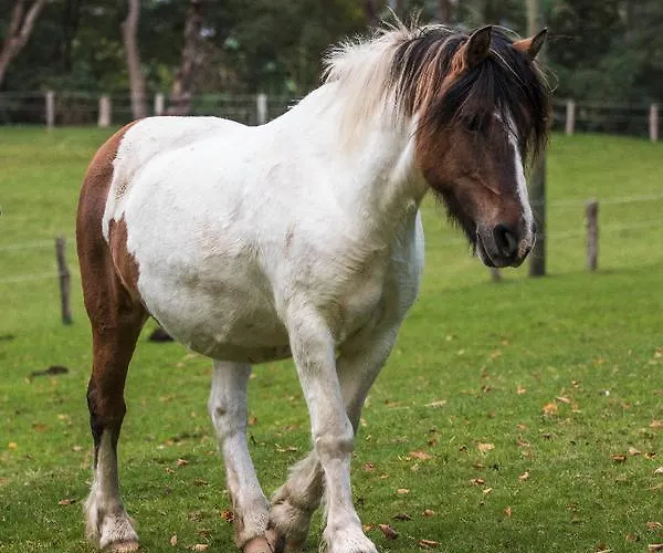Fuerstenberger Hof Hotel Xanten